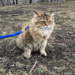 Meet your Posher, Melane